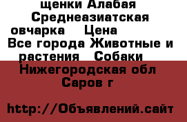 щенки Алабая (Среднеазиатская овчарка) › Цена ­ 15 000 - Все города Животные и растения » Собаки   . Нижегородская обл.,Саров г.